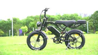 V20 Pro Electric Bike 500W Motor [upl. by Anelrad957]