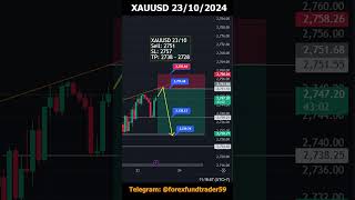 XAUUSD 2310 TRADING PLAN trading liveforextradingnewyorksession stockmarket [upl. by Lukin616]