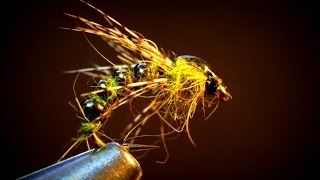 Seed Bead Caddis Emerger [upl. by Milano]