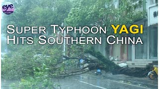 Trees uprooted streets flooded as Super Typhoon Yagi strikes Chinas Hainan [upl. by Gnivre]