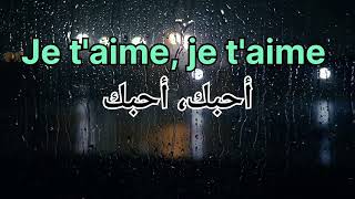 Lara Fabian Je taime لارا فابيان أحبك [upl. by Rucker]