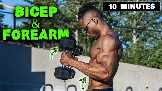 10 MINUTE LIGHTWEIGHT DUMBBELL BICEP amp FOREARM WORKOUT [upl. by Furr]