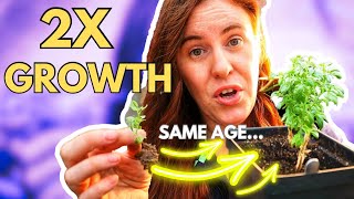 YOU Can Rapidly Increase Seedling Plant Growth ASAP [upl. by Emmuela]