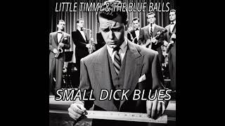 Small Pecker Blues 1952 by Little Timmy amp The Blue Balls [upl. by Imoyik174]