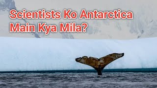 Who Controls Antarctica  Antarctica Mystery Hindi [upl. by Terr50]