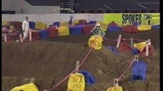 1993 Sydney Supercross Masters  125 Final [upl. by Egief835]