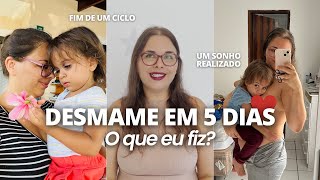 COMO DESMAMEI MINHA BEBÊ DE 2 ANOS  desmame em 5 dias minha experiência com amamentação [upl. by Pathe667]