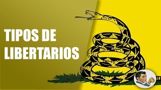 Tipos y Diferencias de Liberales y Libertarios [upl. by Arykat]