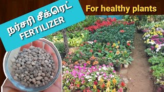 NURSERY SECRET FERTILIZER for healthy plants in Tamil [upl. by Aurie837]