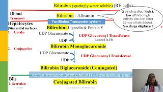 Understanding the Degradation of Heme  Simplified Biochemistry [upl. by Urbannal]