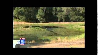 Retriever Training on Fox 5 San Diego  Segment 1 [upl. by Renat]