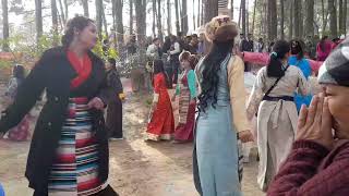 new sherpa dance 2024 losar special 2080 piknic luwangsha sherpa group dance [upl. by Enneiviv]