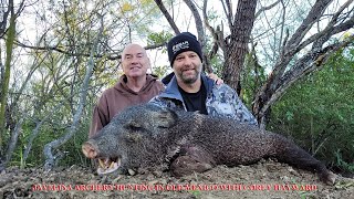 JAVELINA ARCHERY HUNT IN MEXICO WITH COREY HAYWARD OF BEAR TRAK OUTFITTERS [upl. by Norvall]