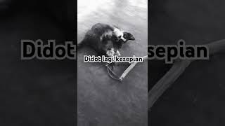 Si didot main sendiri kucing kucinglucu superbearadventure [upl. by Mahan]