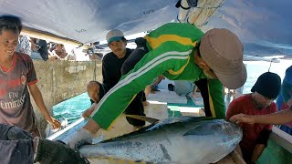 Kapal Nelayan Mandar Bongkar Ikan Di Dermaga Bonepute  KM Nur Mandar [upl. by Maddalena]