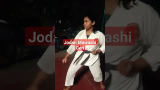 Jodan Mawashi Gerikarateshotokan karate [upl. by Grazia689]