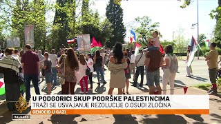 U Podgorici protesti zbog neusvajanja rezolucije o Palestini [upl. by Eidnahs333]