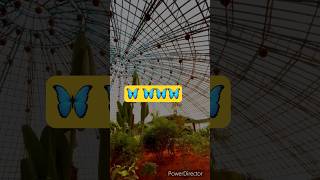 Butterfly park in Bangalore  best parks to visit in Bangalore  shorts youtubeshorts ytshorts [upl. by Drice75]