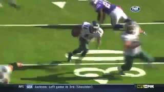 DeSean Jackson Highlights 2012 [upl. by Ynagoham887]