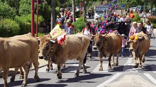 Transhumance 2022 Ã Bozouls [upl. by Gavrielle540]