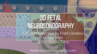 3D Fetal Neurosonography Virtual Masterclass [upl. by Notsud]