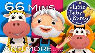 BINGO  Learn with Little Baby Bum  Nursery Rhymes for Babies  Songs for Kids [upl. by Ahsiuqel]