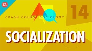 Socialization Crash Course Sociology 14 [upl. by Goto]