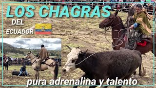 Toros de pueblo en Ecuador 🏔 Guido Vlogs [upl. by Bernhard]