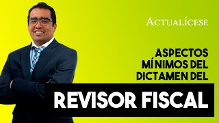 Componentes del dictamen del revisor fiscal sobre los estados financieros [upl. by Dowd]