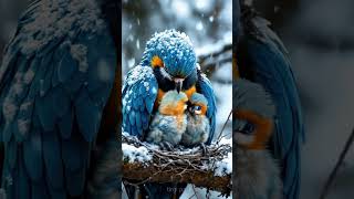 Majestic Mother Parrot Protects Chicks From Snowstorm shorts owl short cute [upl. by Cairns]