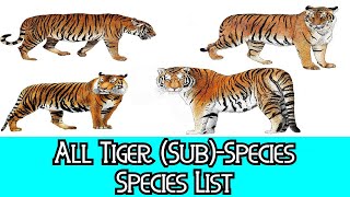 All Tiger SubSpecies  Species List [upl. by Merola]