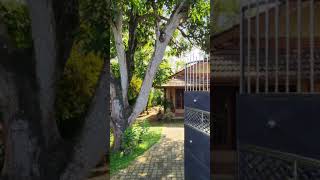 500Lks25 perchas with Single Story House for sale in Wattala 0774936408 [upl. by Mariann47]