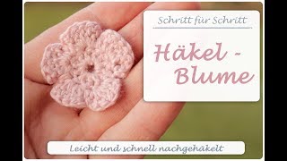 ✿ Einfache Häkelblume Häkeln ✿ 5 Blätter ✿ Amigurumi Blume ✿ Anleitung für Anfänger [upl. by Tiat]