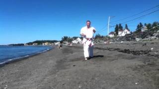 Shinburyu Chitoryu karatedo Kihon no sai by Jean Noel Blanchette 7 Dan [upl. by Dnallor]