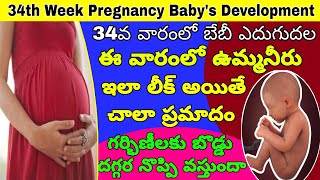 గర్భం 34వ వారం  34th Week of Pregnancy Symptoms Changes amp Baby Development  34th Week of Pregnancy [upl. by Ydnarb]