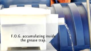 Inca Plastic Grease Trap [upl. by Nivk]