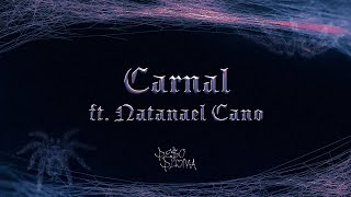 CARNAL Lyric Video  Peso Pluma Natanael Cano [upl. by Avehs]