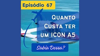 Quanto custa ter o avião Icon A5 [upl. by Karly987]