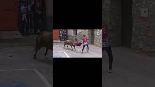 AQUELLA TARDE DE HERMANOS COLOMER EN BORDÓN toros VAQUILLAS festejopopular [upl. by Heins]