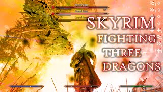 SKYRIM Fighting Three Dragons [upl. by Hannavas]