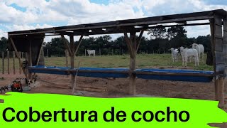 Aprenda a construir cocho de sal coberto para o gado  cocho de sal [upl. by Ajiat]