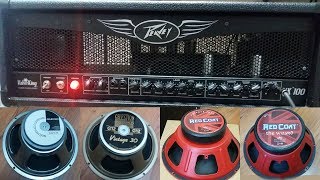 Peavey Valveking  Celestion V30 amp G12T75  Eminence The Wizard amp Private Jack [upl. by Aikkin]