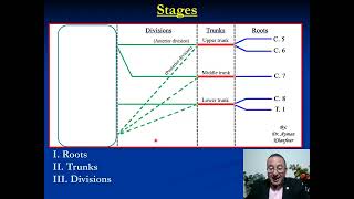 Brachial plexus upper lim ايمن خنفور [upl. by Yerffoej247]