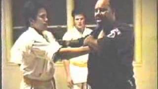 Doctor Ron Chapels  Sub Level 4 Kenpo [upl. by Ytsirc]