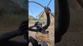 Hadzabe tribe Hunting time Arrows Target 🎯culture hunters wildlife [upl. by Artenak489]