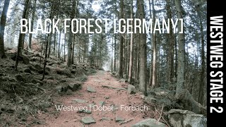 Westweg  Stage 2  Hiking from Dobel to Forbach  E1  Black Forest Germany  4K [upl. by Ahpla]