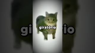 Gato Giratório OIIAOIIA A História do Meme 😵‍💫 meme oiiaoiia trend gatos [upl. by Oicul]