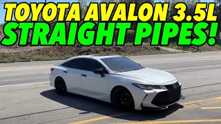 2019 Toyota Avalon 35L V6 w STRAIGHT PIPES [upl. by Doownelg509]