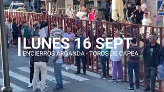 Encierros Arganda 2024  Segundo del lunes 16 Septiembre Capea [upl. by Dygal]