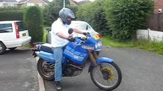 yamaha xt600z tenere 3aj [upl. by Vern]